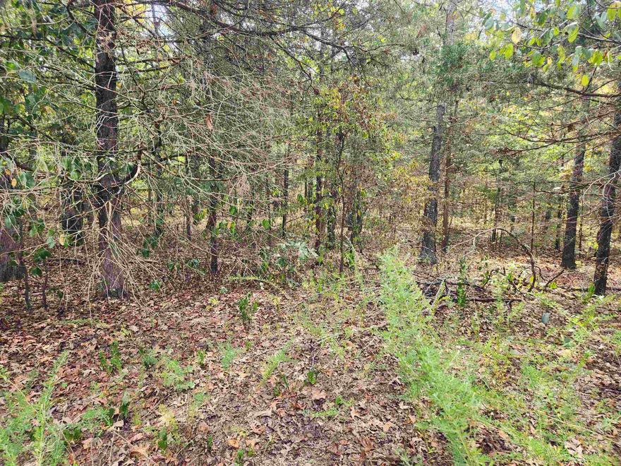 Secluded lot located on the West side of Cherokee Village. Near beautiful Lake Omaha but hidden away in the seclusion of a Cul-de-sac with no other neighbors nearby. Be the first one to build a home in this hidden little gem of an area. Private, quiet and serene. Not a neighbor in site, but you can get out on the highway quick as a hiccup. Come and get a look at this fantastic piece of property and pick a spot for your forever home or build a getaway vacation home. Close enough to the South Golf course to drive a cart but far enough to not worry about dodging errant balls. Don't forget that Cherokee Village has Two 18-hole golf courses to work on your game, 7 lakes to hone your fishing skills and the beautiful Southfork river running through it you are up for a lazy floating trip down the river.