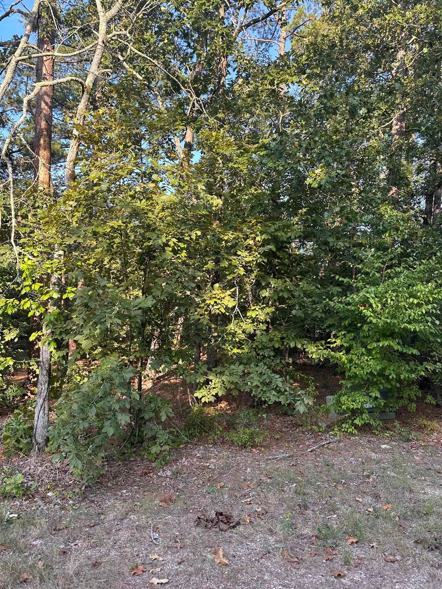 Located in the Balboa Golf Course area.  This lot is near the center of Hot Springs Village.  You can build your dream home in this gated community that offers 11 lakes, 9 golf courses, numerous hiking and bike trails, pickleball courts, tennis courts, fishing, and first class fitness center.  live your best life in Hot Springs Village!