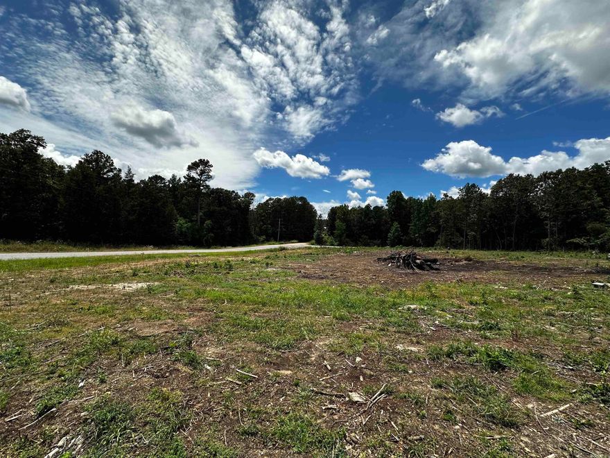 This property has been cleared and is ready for new owners.  Private, paved road frontage, level and ready to build on!  Just minutes from Cave City and Batesville, Arkansas in Independence County.