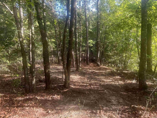 CAMDEN LN, AMITY, AR 71921 - Image fca9c078e556416df20a595f4d64190e/3015928422