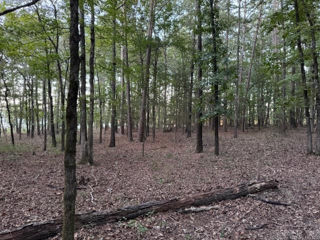 Lakeland Acres - Land