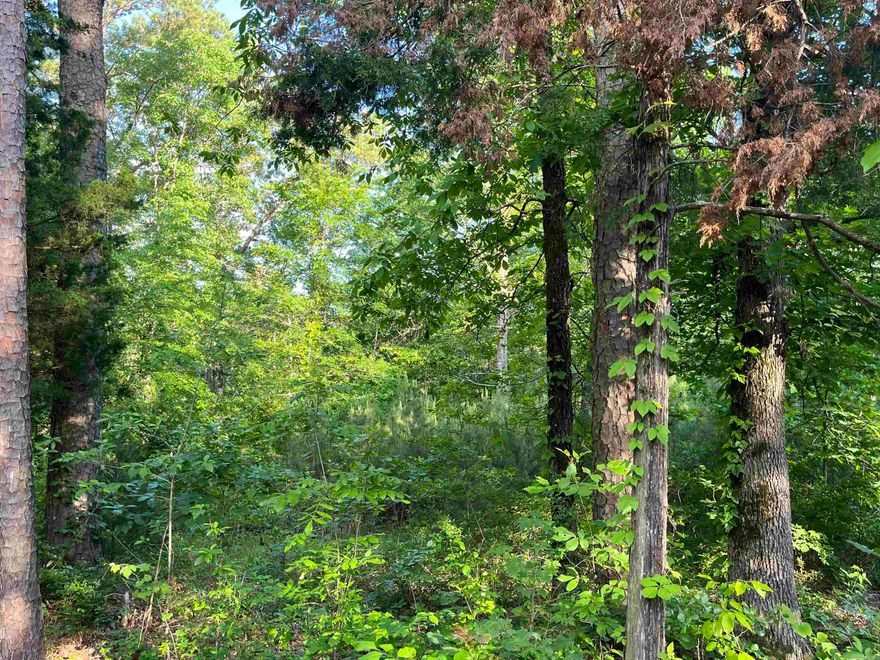 Great lot to build your weekend get a way or your forever home.