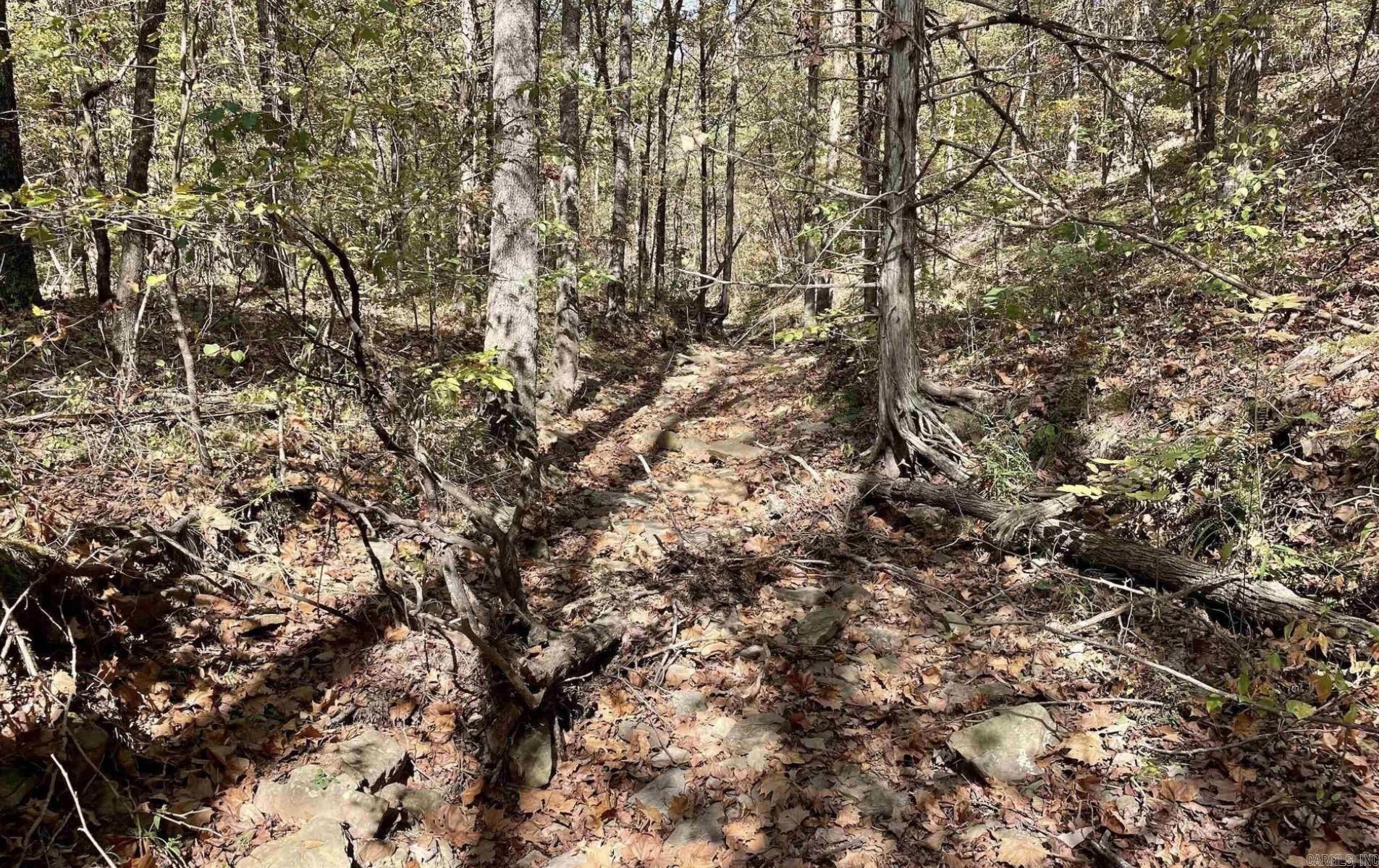 Not in Subdivision - Land