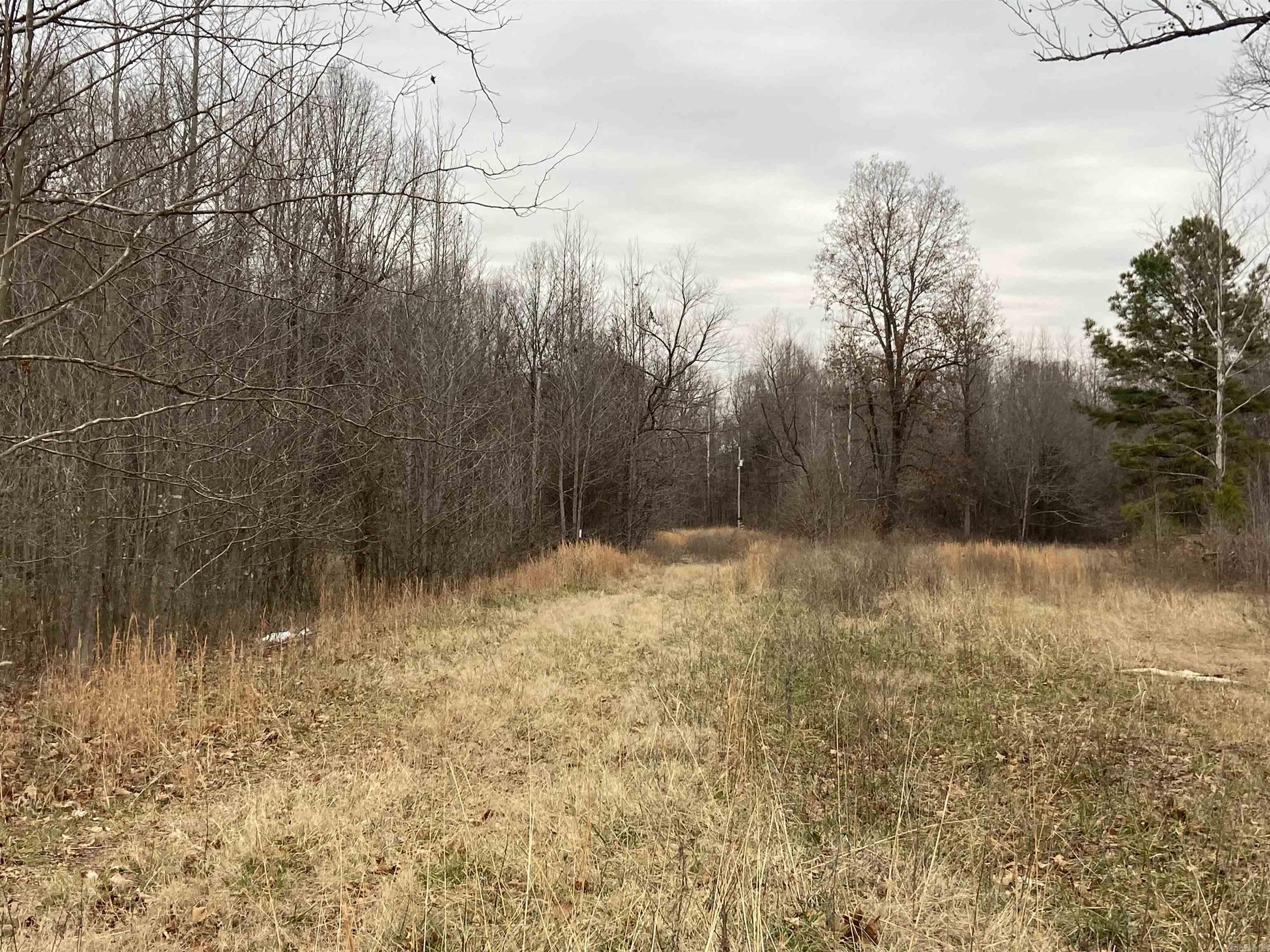 Looking for space to build your own cozy paradise? Look no further than these 4.24 acres in Westwood Acres Subdivision in Bono. The land is tucked away in the woods, off County Road 389, with a mostly cleared road easement where you can put in your own driveway. Craighead Electric is available. Corners of the property are flagged for your convenience.