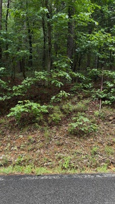2 WHITE OAK CT, SEARCY, AR 72143 - Image fcce83b2cc8b3b5ca8b1c82306fa595c/1629574544