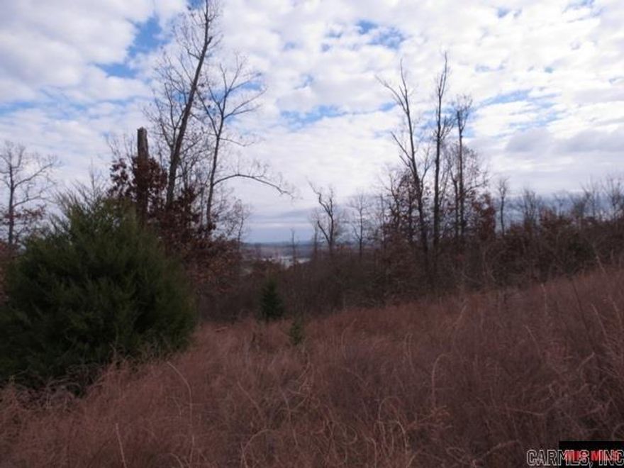 1 acre m/l seasonal view of Bull Shoals Lake on gravel road. Property lays well and needs well and septic. Near Pontiac Marina. Owner finance available $5,000