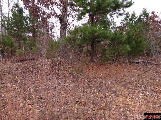 Not in Subdivision - Land