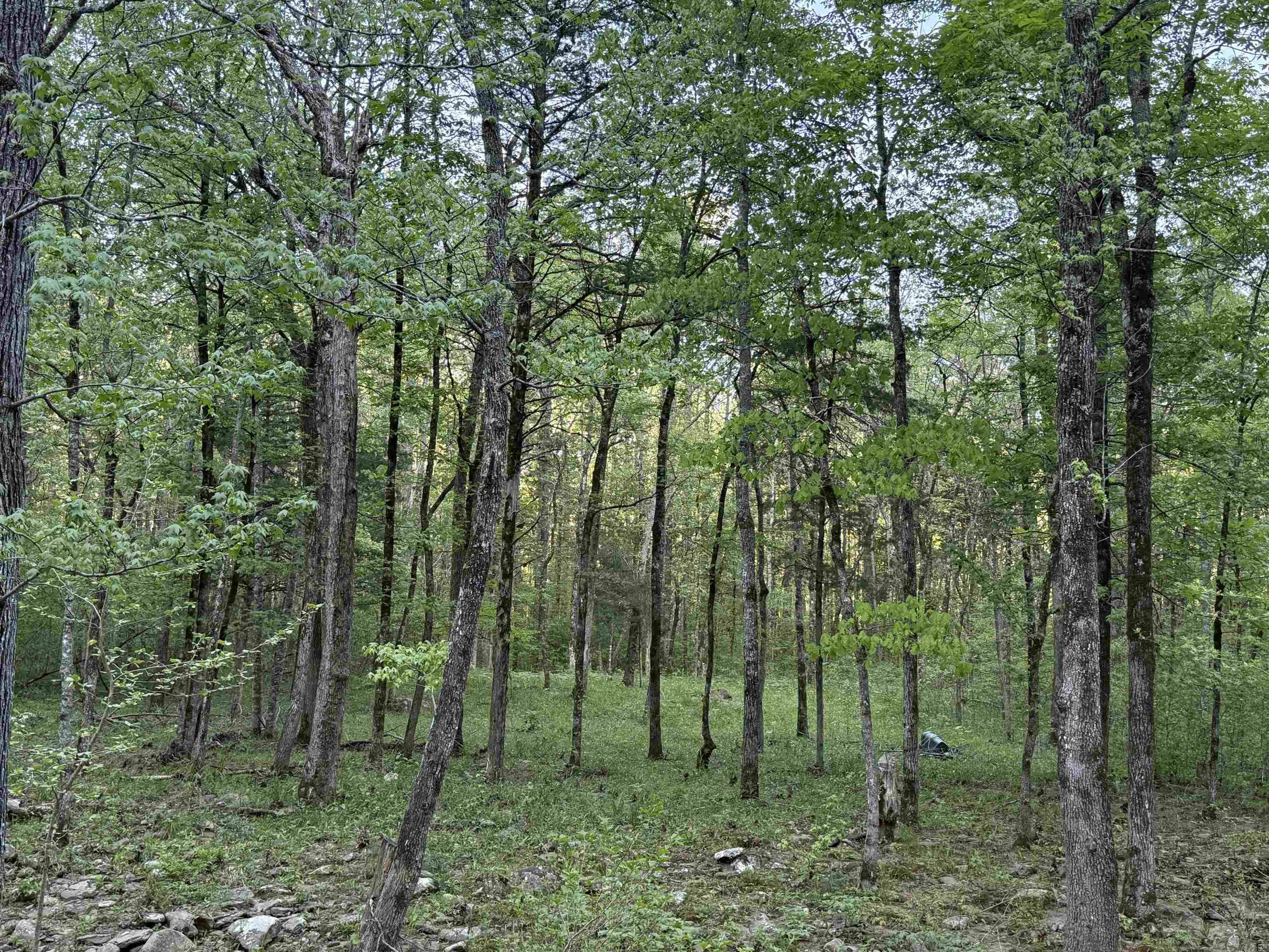 Metes & Bounds - Land