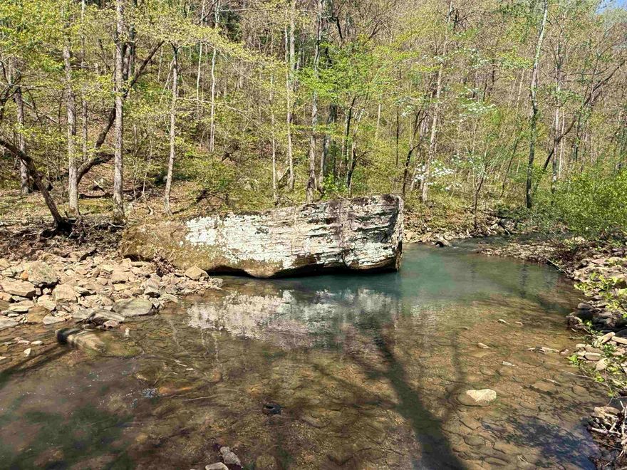 Discover 9.8+/- off-grid acres in Van Buren County, Arkansas, with Pee Dee Creek flowing through the property and a scenic cabin site ready for your dream getaway. This secluded tract features dramatic bluffs, natural springs, and cave overhangs—perfect for outdoor enthusiasts, homesteaders, or anyone seeking peace and privacy in the Ozarks. Whether you're looking for a quiet retreat or a basecamp for exploration, this land offers a rare mix of water, elevation, and raw natural beauty. Don't miss this opportunity to own your slice of Arkansas wilderness.