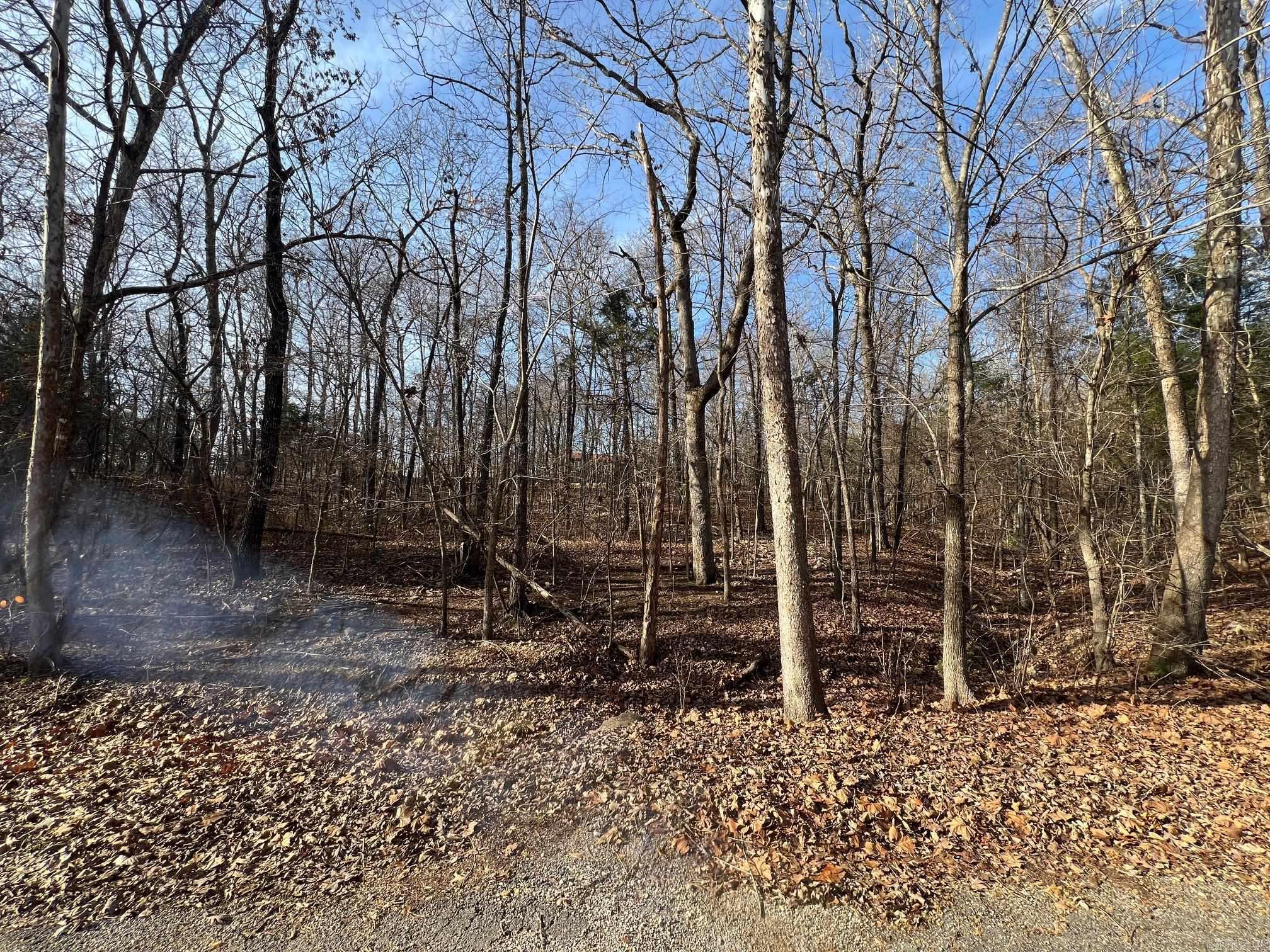 Discover the perfect spot to build your dream home or that perfect getaway on this 0.3 acre lot in Cherokee Village! Nestled in the serene community, enjoy access to lakes, golf courses, and trails. With utilities nearby and a peaceful setting, this lot is ready for your vision. Don't miss the opportunity!