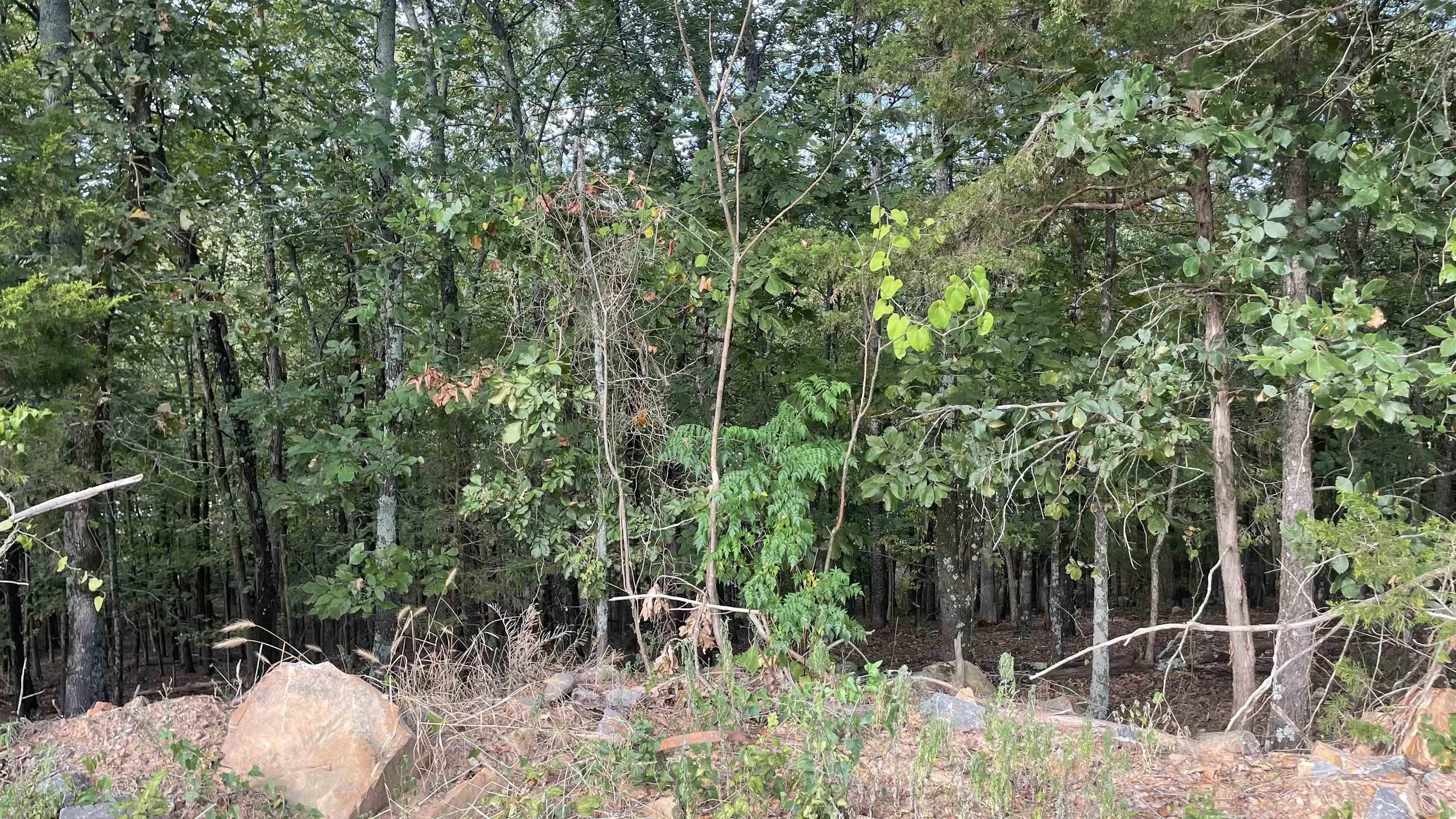 Pinnacle Ridge - Land