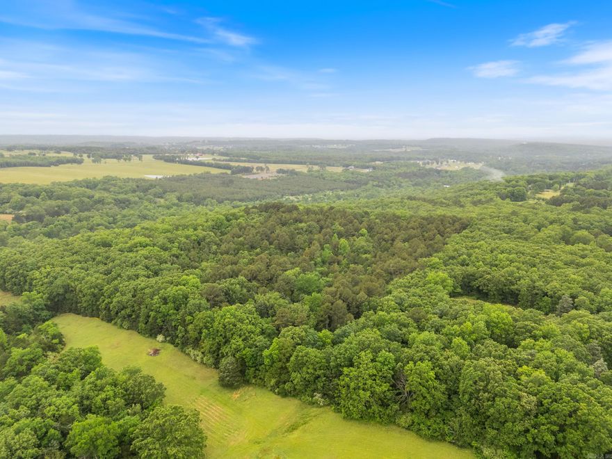 Looking for a place to hunt or build a home in complete wooded privacy this is it! Land is located in the Greenbrier School District. Property has some nice locations for building a home. Clear as much or as little land as you would like. Southern border of the land joins Peavine Creek.