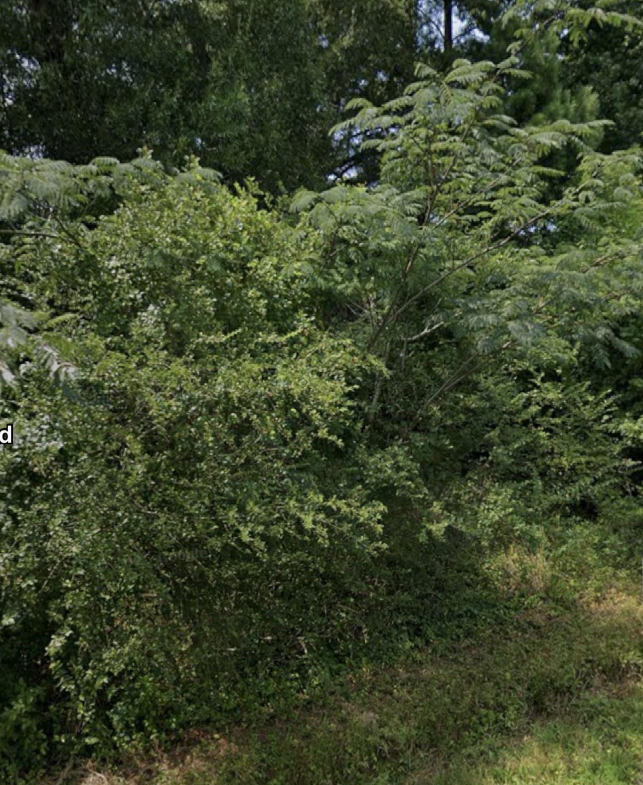 Not in Subdivision - Land