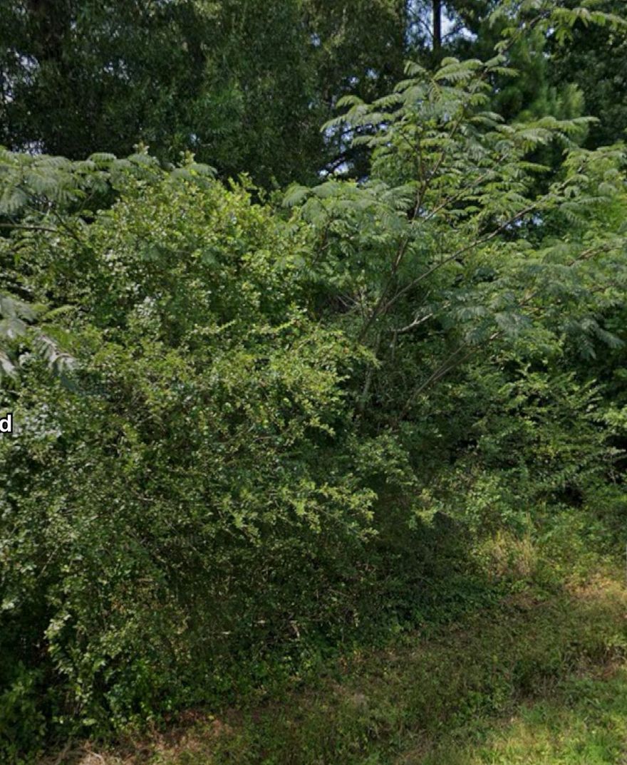 Sold Before Listed. Lot is nestled in a quiet growing area just minutes from Dave Ward Dr., I-40, shopping, dining, and Conway schools. Quick drive to UCA, Hendrix, Conway Regional Medical Center, and retail stores. This property combines convivence with a peaceful atmosphere.