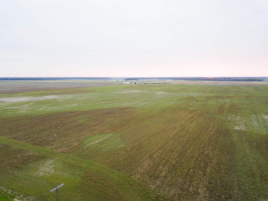The DeWitt 640 is located just south of DeWitt making this farm one of the easiest to access often. The farm is set up to be a successful operation with plenty of water, fields laid out in a grid system, with a strong crop history. There are two farm buildings, one shop building and a 50'x60' equipment shed. Both are in good condition and are used in the current farming operation. There are four wells on this farm; two electric and two diesel.   There is a great farmer in place on an annual lease. If you are in the market for a turnkey, income producing piece of farm land, this is it!  Farm map: https://id.land/ranching/maps/5e83ed3c295a01ae79d337f9c60b35da/share
