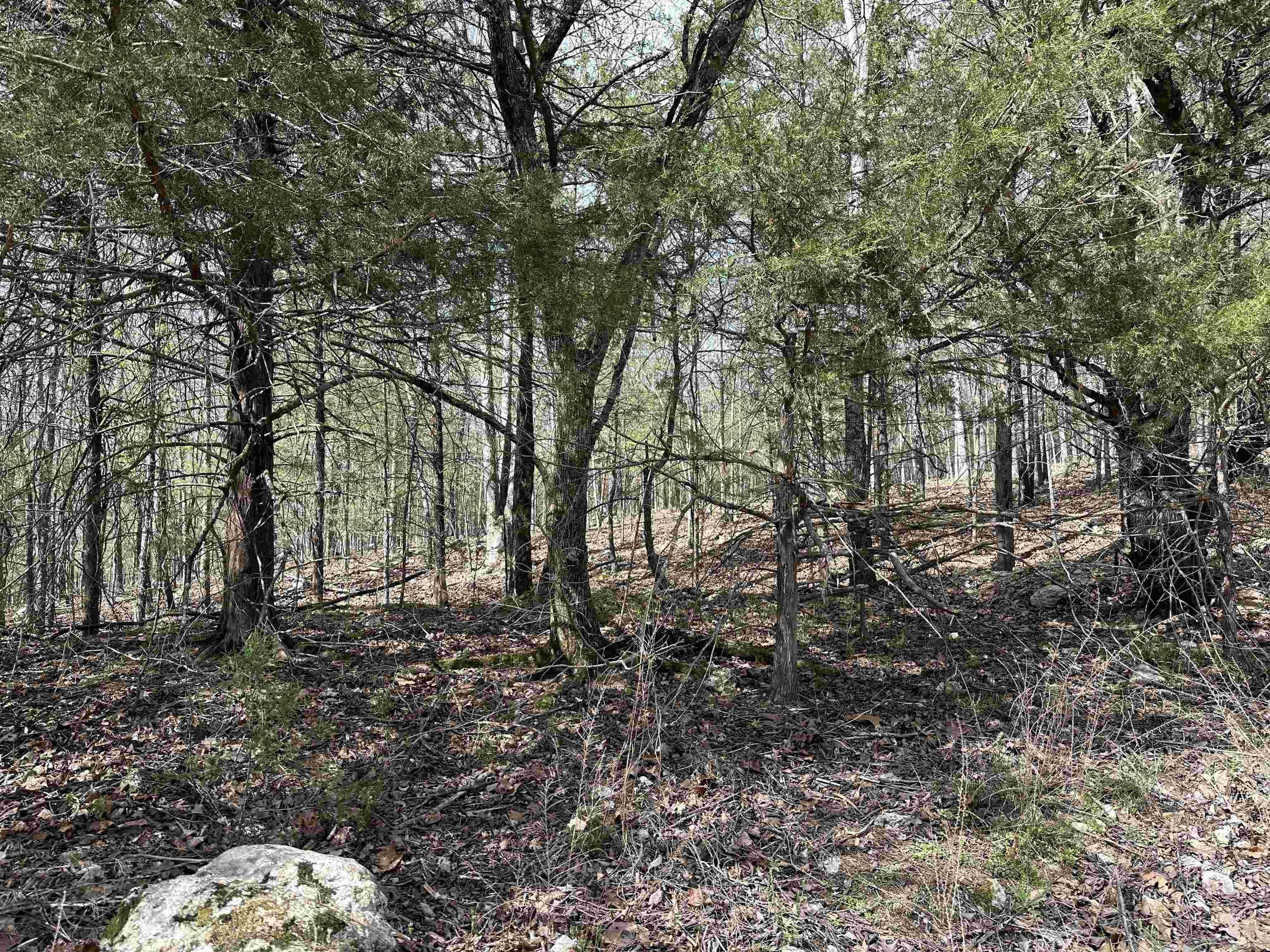 HERE'S AN INCREDIBLE INCOME OPPORTUNITY that's as unique as it is lucrative! This property isn't just a piece of land; it's a thriving opportunity with a fascinating history. It's the very spot where cubic feet of earth were sold to individuals who wanted to claim their own piece of "Dirt on Whitewater." This opportunity comes with some of the deeds you can sell online, adding a modern twist to an age-old concept. It's a chance to continue a tradition that captures the imagination & provides a potential stream of income. This is your golden ticket to owning a one-of-a-kind income opportunity that blends history with the digital age. Seize the moment and explore the endless potential of this captivating venture. Invest wisely & create a legacy with "Dirt on Whitewater'"