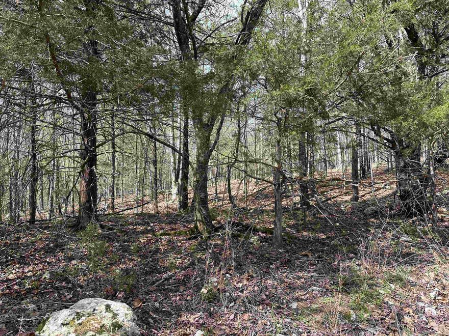 HERE'S AN INCREDIBLE INCOME OPPORTUNITY that's as unique as it is lucrative! This property isn't just a piece of land; it's a thriving opportunity with a fascinating history. It's the very spot where cubic feet of earth were sold to individuals who wanted to claim their own piece of "Dirt on Whitewater." This opportunity comes with some of the deeds you can sell online, adding a modern twist to an age-old concept. It's a chance to continue a tradition that captures the imagination & provides a potential stream of income. This is your golden ticket to owning a one-of-a-kind income opportunity that blends history with the digital age. Seize the moment and explore the endless potential of this captivating venture. Invest wisely & create a legacy with "Dirt on Whitewater'"