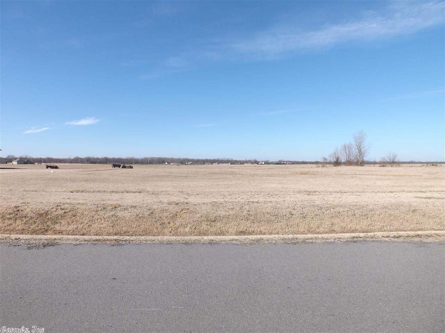 Wow! Great lot, Great price!! Looking for a quiet peaceful gated subdivision with acreage, you just found it! With agents on site to answer any questions, approved builders to build your customer built home to your specifications, come out today and tour!!!!