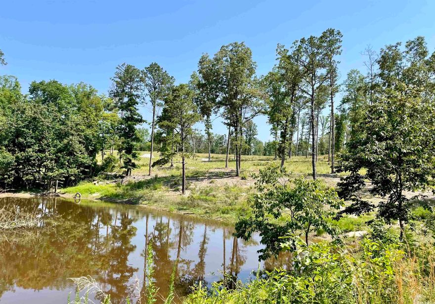 94 acres in the OZARK MOUNTAINS!  This hunting acreage features a large open field with multiple building spots, a nice pond, county road frontage, and ATV trails! There is electric and a well already on the property!  Great place to build your dream home, have a homestead, and plenty of acreage to hunt!