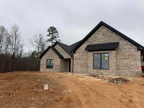 Photo of 224 Middleton Place Dr, Benton, AR 72019 (MLS # 25049395)