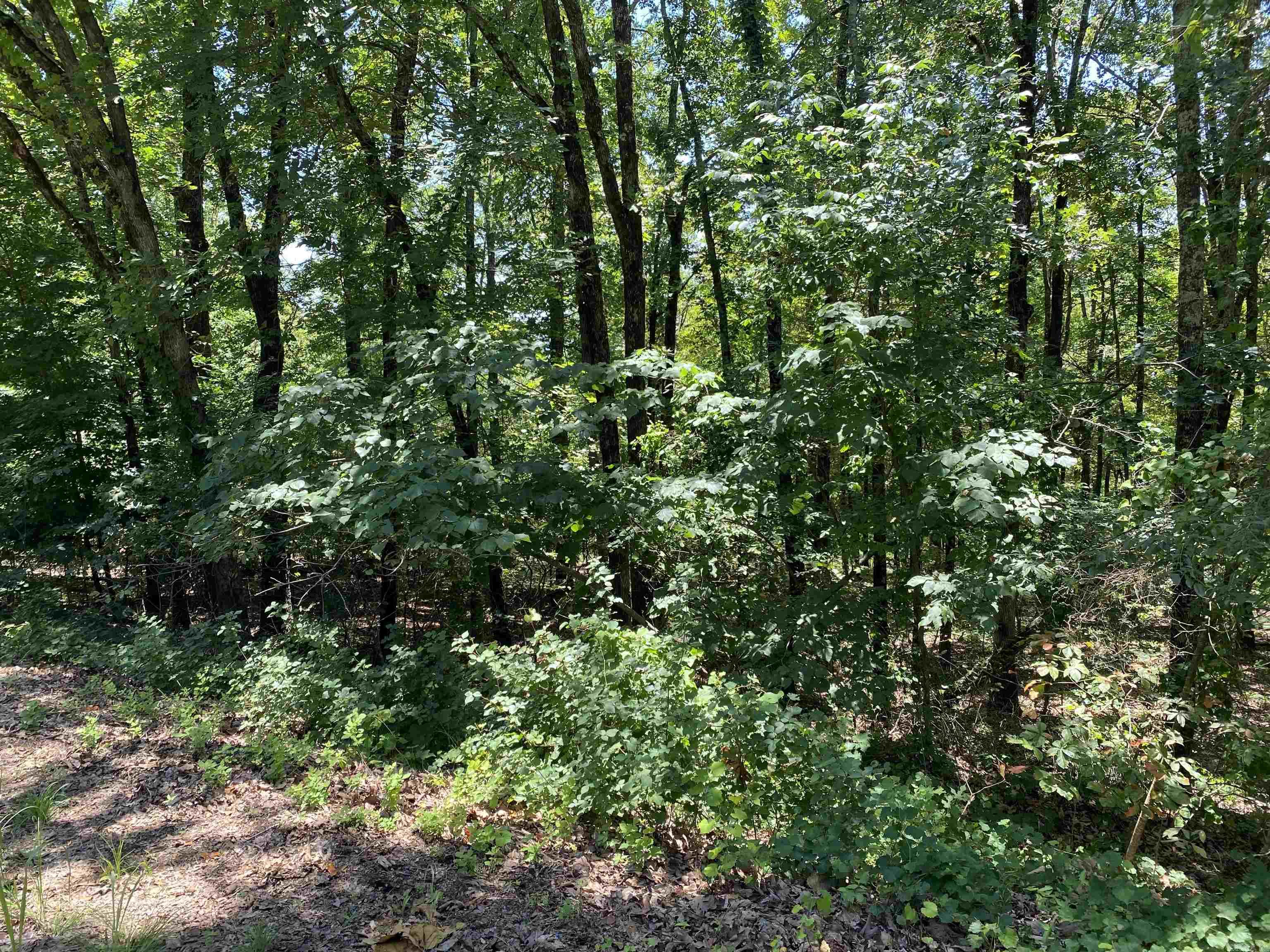 Watersedge Estates - Land