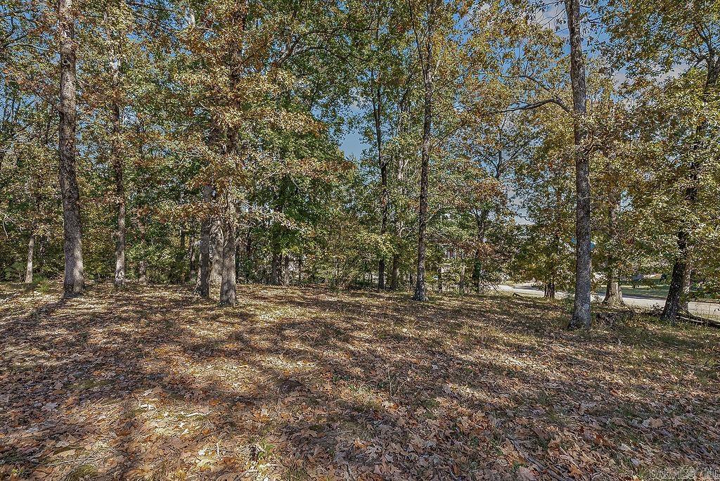 Ridgepointe Country Club - Land