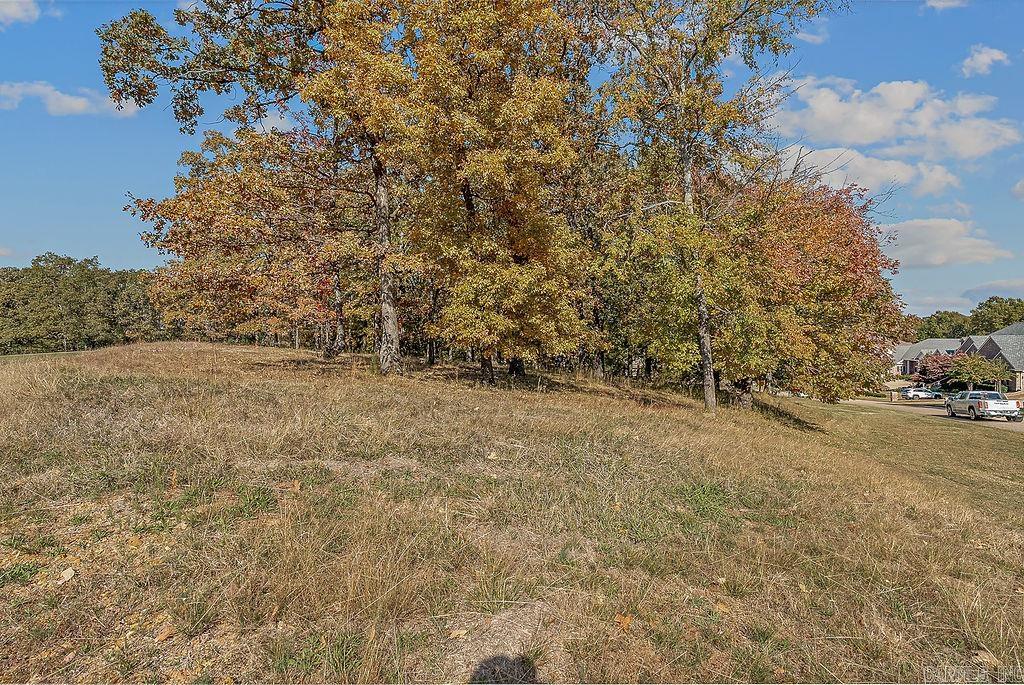 Ridgepointe Country Club - Land