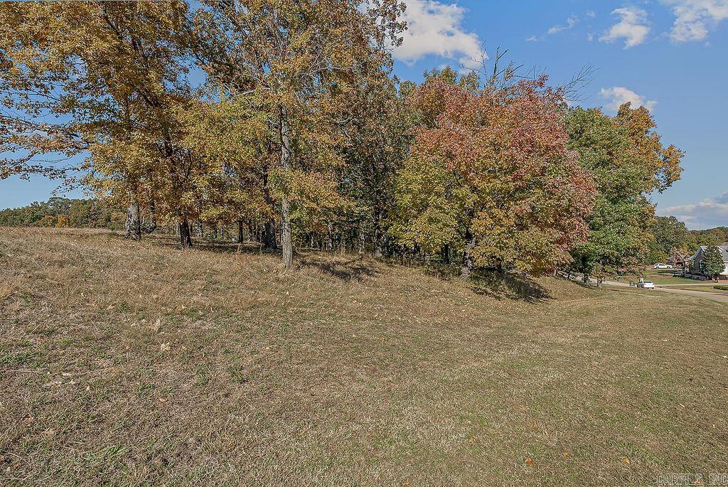 Ridgepointe Country Club - Land