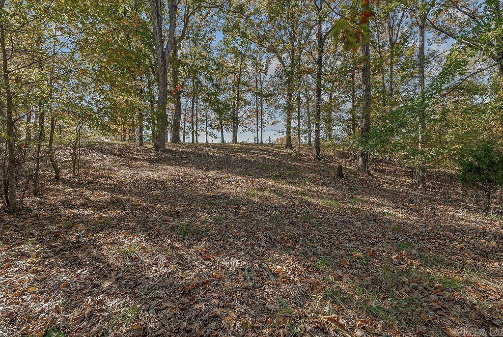 Ridgepointe Country Club - Land