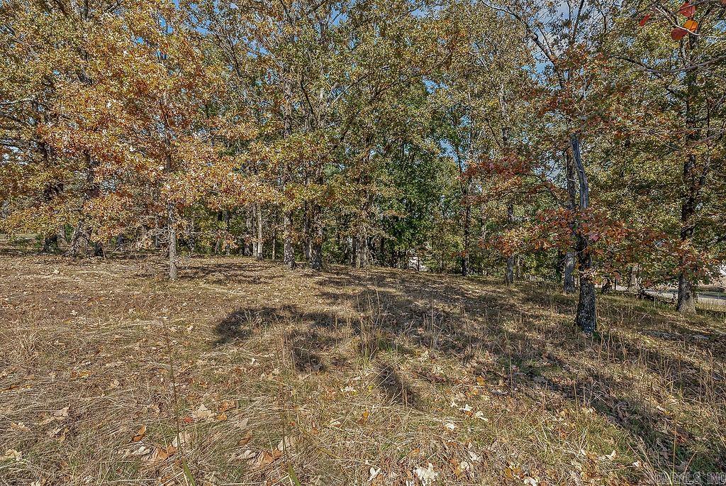 Ridgepointe Country Club - Land