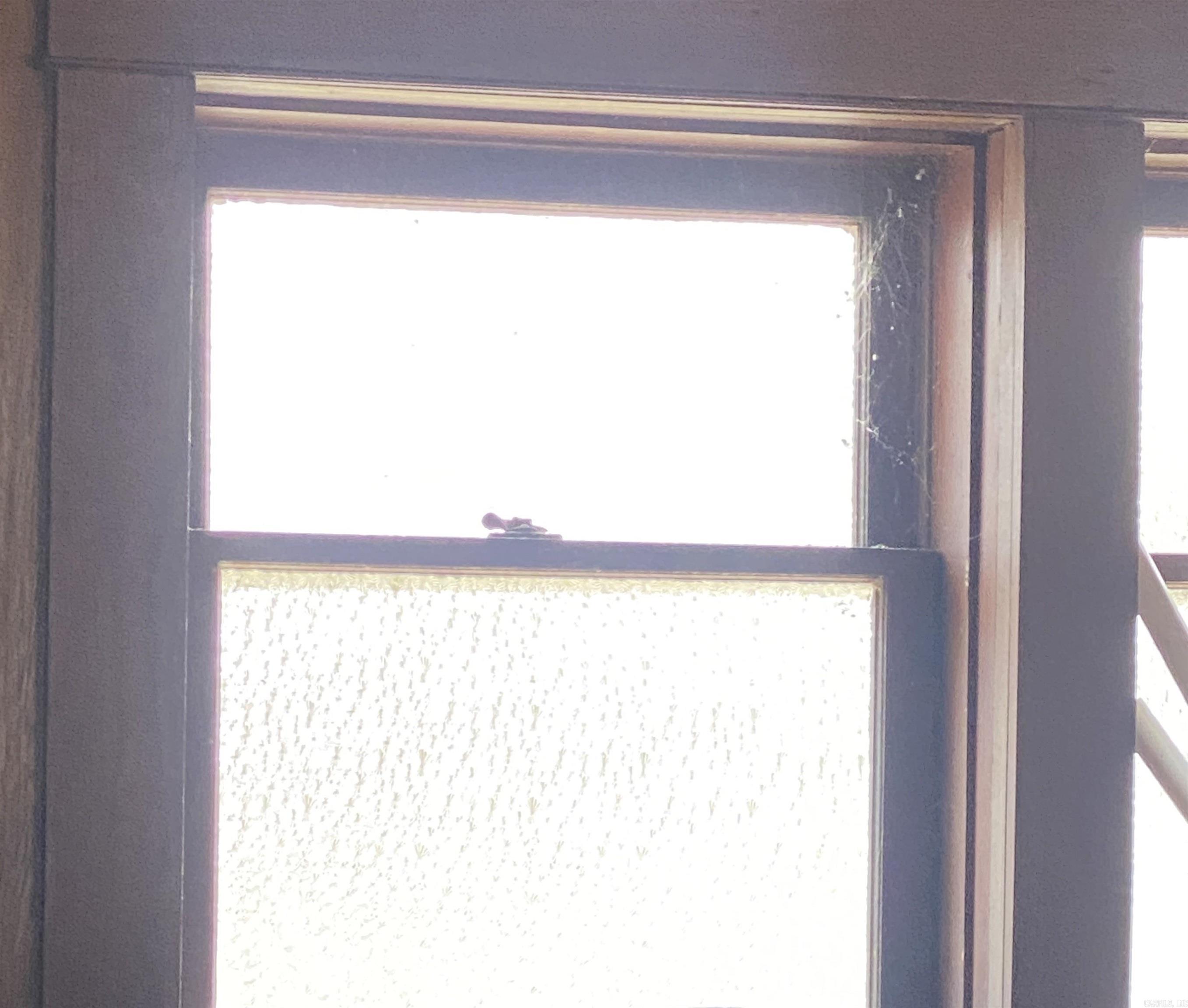 MOOSE ADDN - Residential