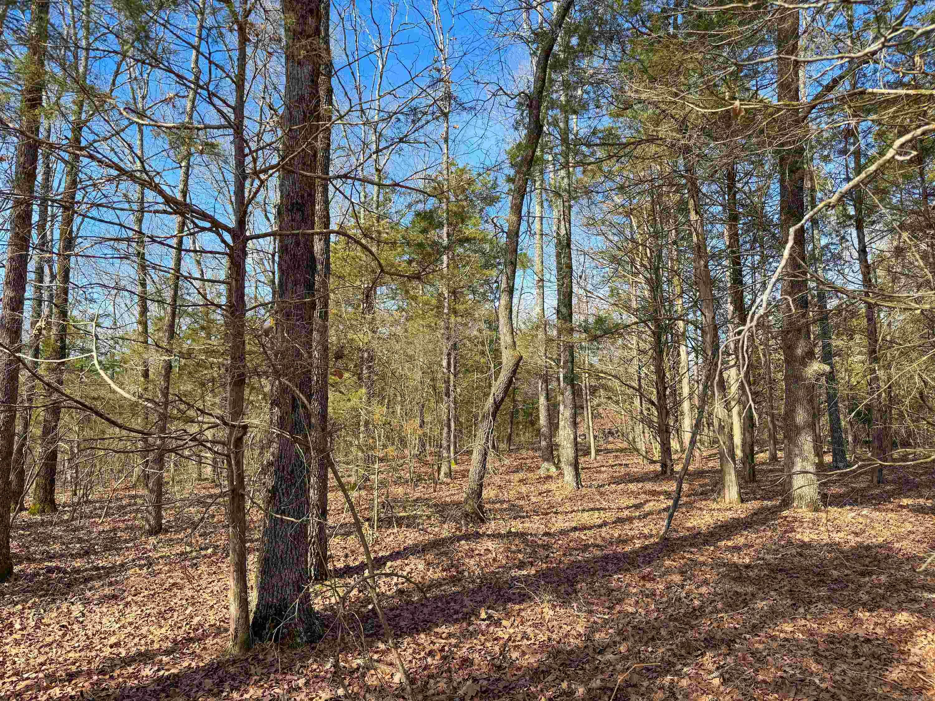 Wooded acreage in the Quitman school district with an easy drive to Greenbrier or Conway. Rural property with power, water, and high-speed internet running along the road. Evergreens near the front of the property open up into bigger deciduous/evergreen mix near the back. Lots of wildlife and great location. No mobile homes. Minimum home square footage is 1,100. Tract cannot be further subdivided. More adjoining land is available, buyer's agents contact listing agent for details and see agent remarks.