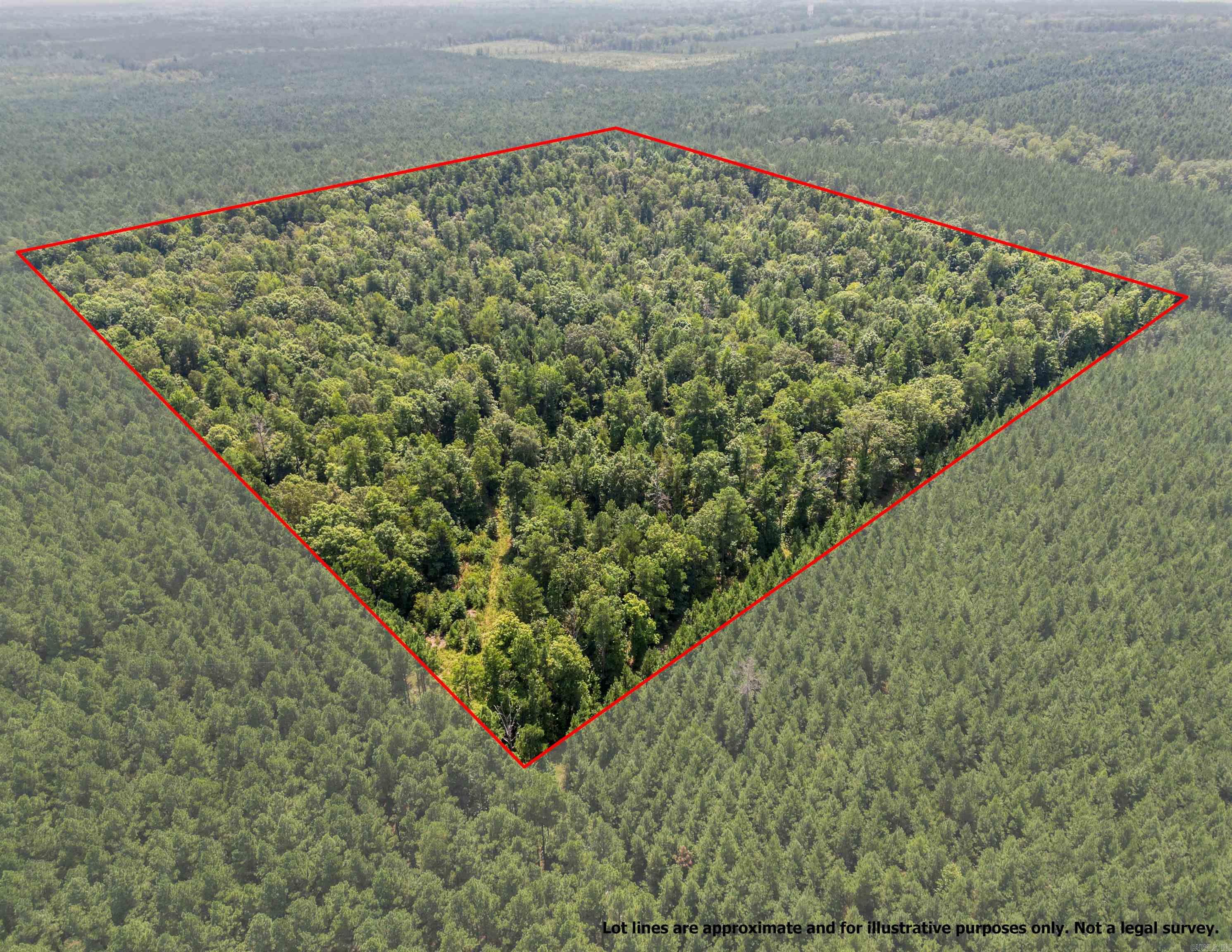 If you enjoy hunting, this is the spot for you. A great 40 acres for your hunting pleasure. Beautiful timber which gives an abundance of forage for wildlife. Drive out and take a look at this wonderful acreage.
