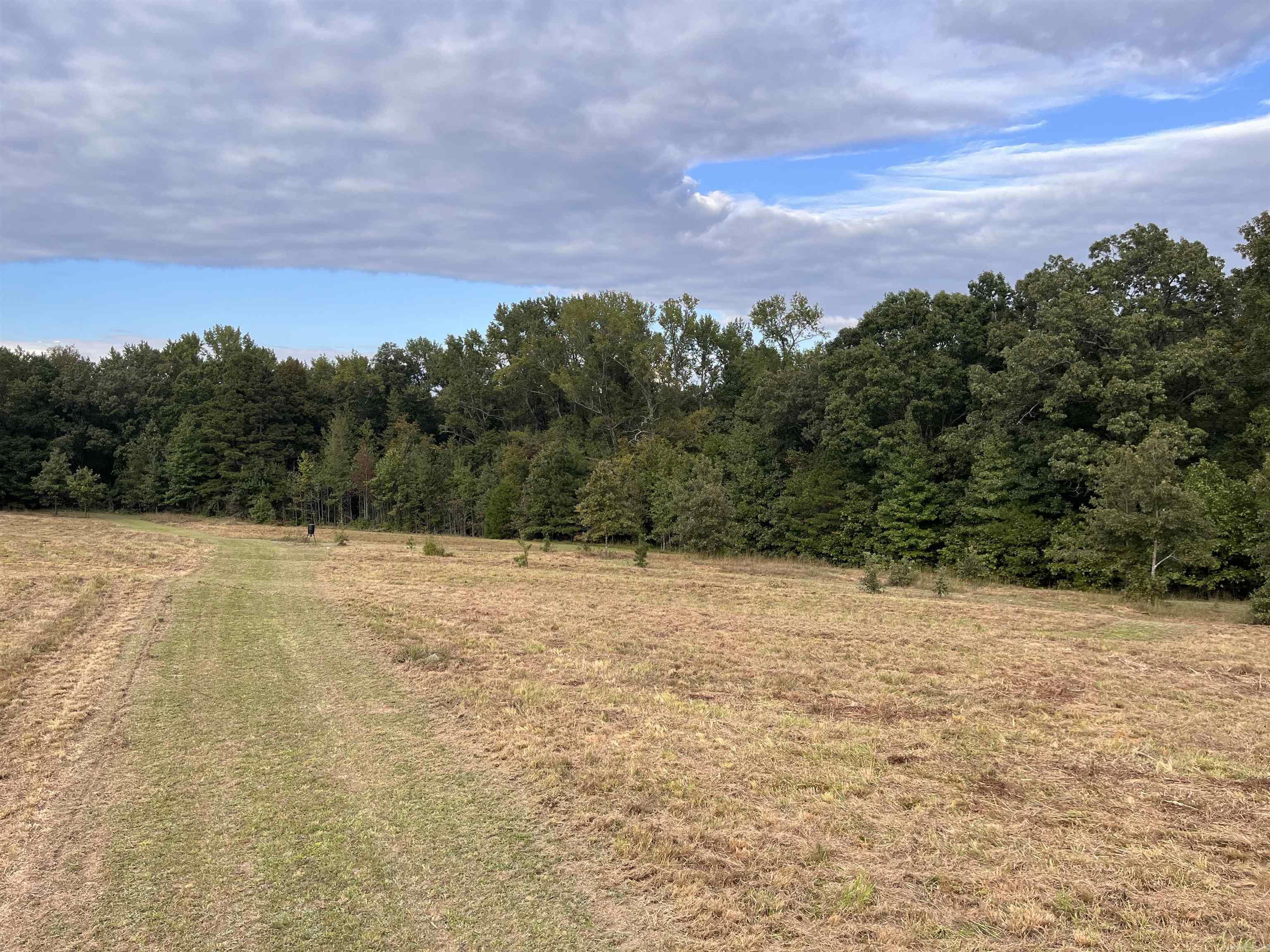 Lookiing to build a beautiful home on some acerage in a Great area? Well here you have it! Approx 3-4 acres clear/pasture and rest is wooded with lots of hard woods & pine! Has a nice creek running through it! Here you can have horses, cows, chickens and great place to hunt! DEED RESTRICTIONS WILL APPLY!! (no mobiles or modular homes, no commercial business allowed) Quitman address Rosebud Public Schools First Electric Coop, Heber Springs Water Give us a call today!