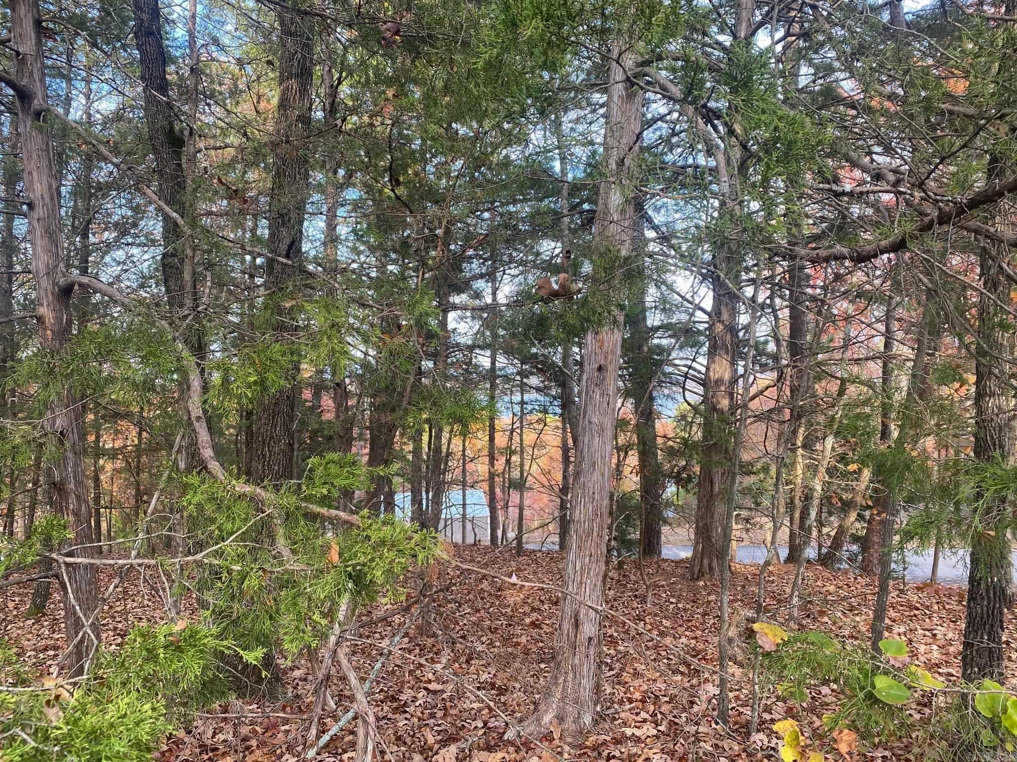 South Shore Park - Land