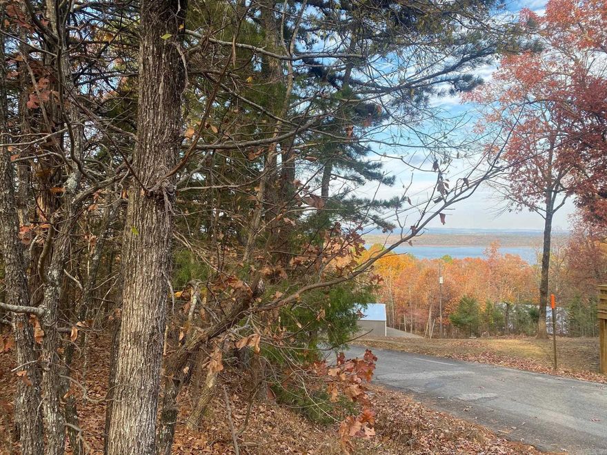 Great Lakeview lot that has already been perked for a 1500 sq ft home!! South Shore Park has its own boat launch and this lot is close to everything, 10 minutes from Heber Springs, under 10 minutes to two marinas.  Check it out!!!