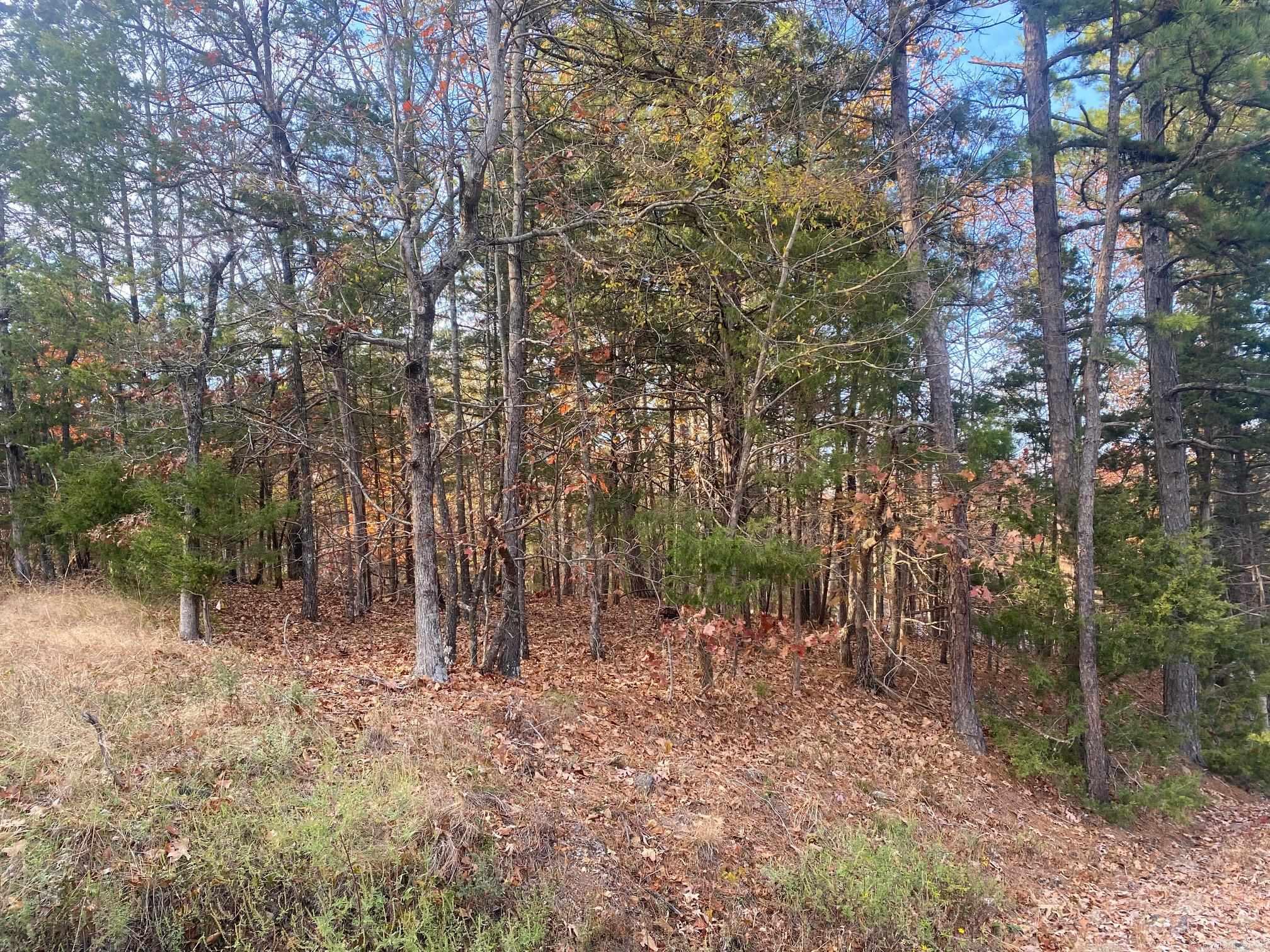 South Shore Park - Land