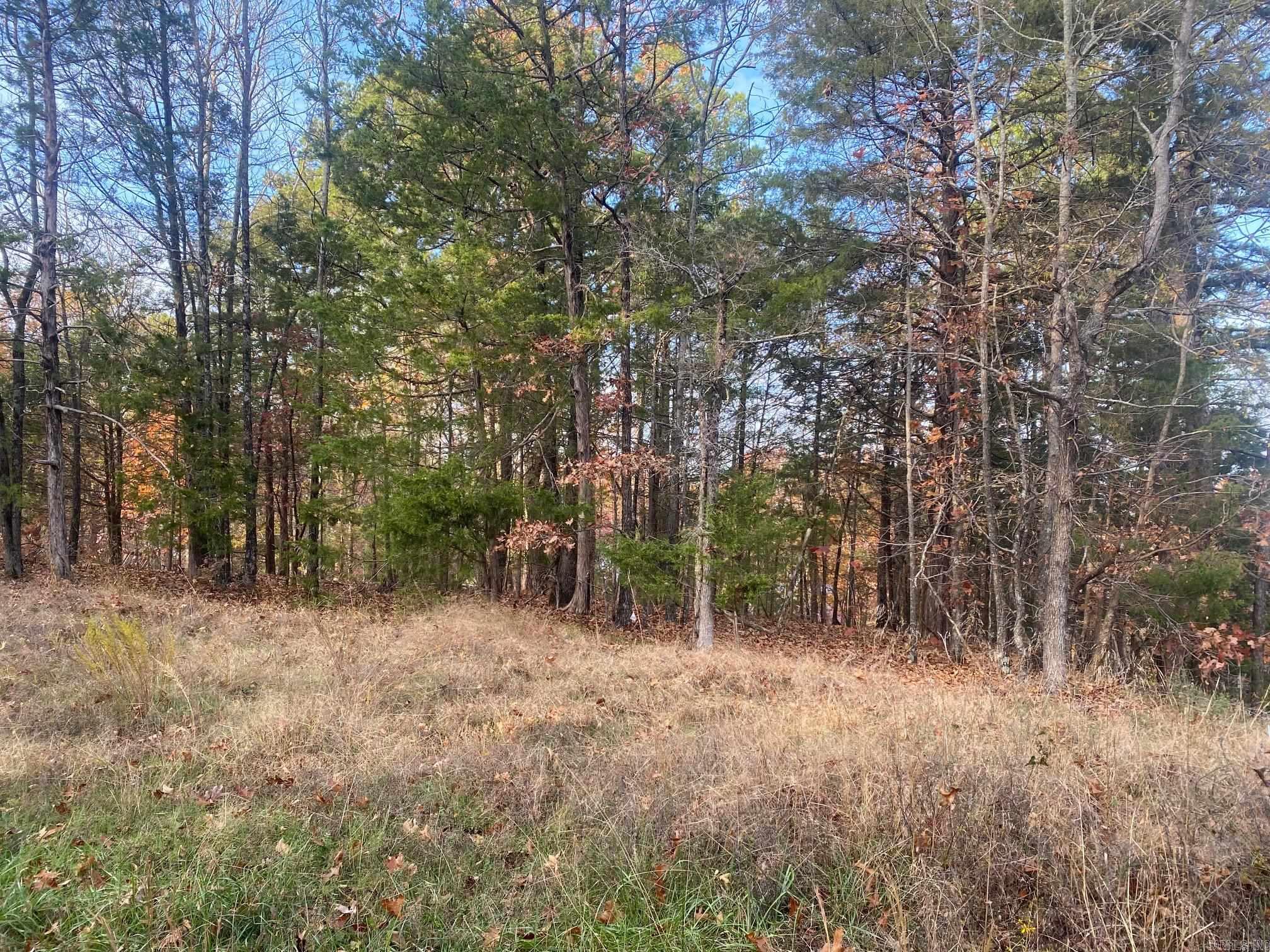 South Shore Park - Land