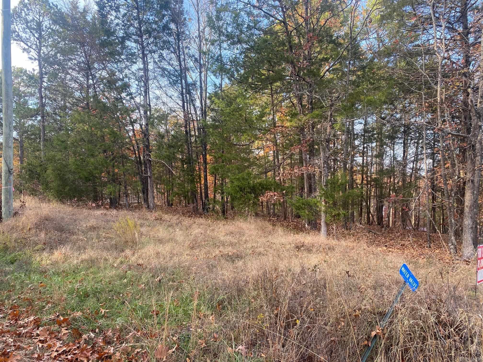 South Shore Park - Land