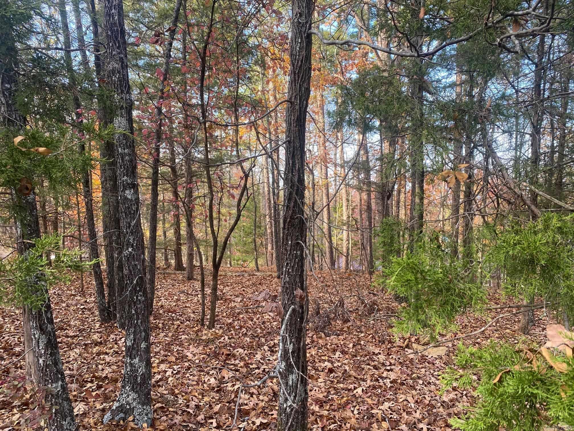 South Shore Park - Land