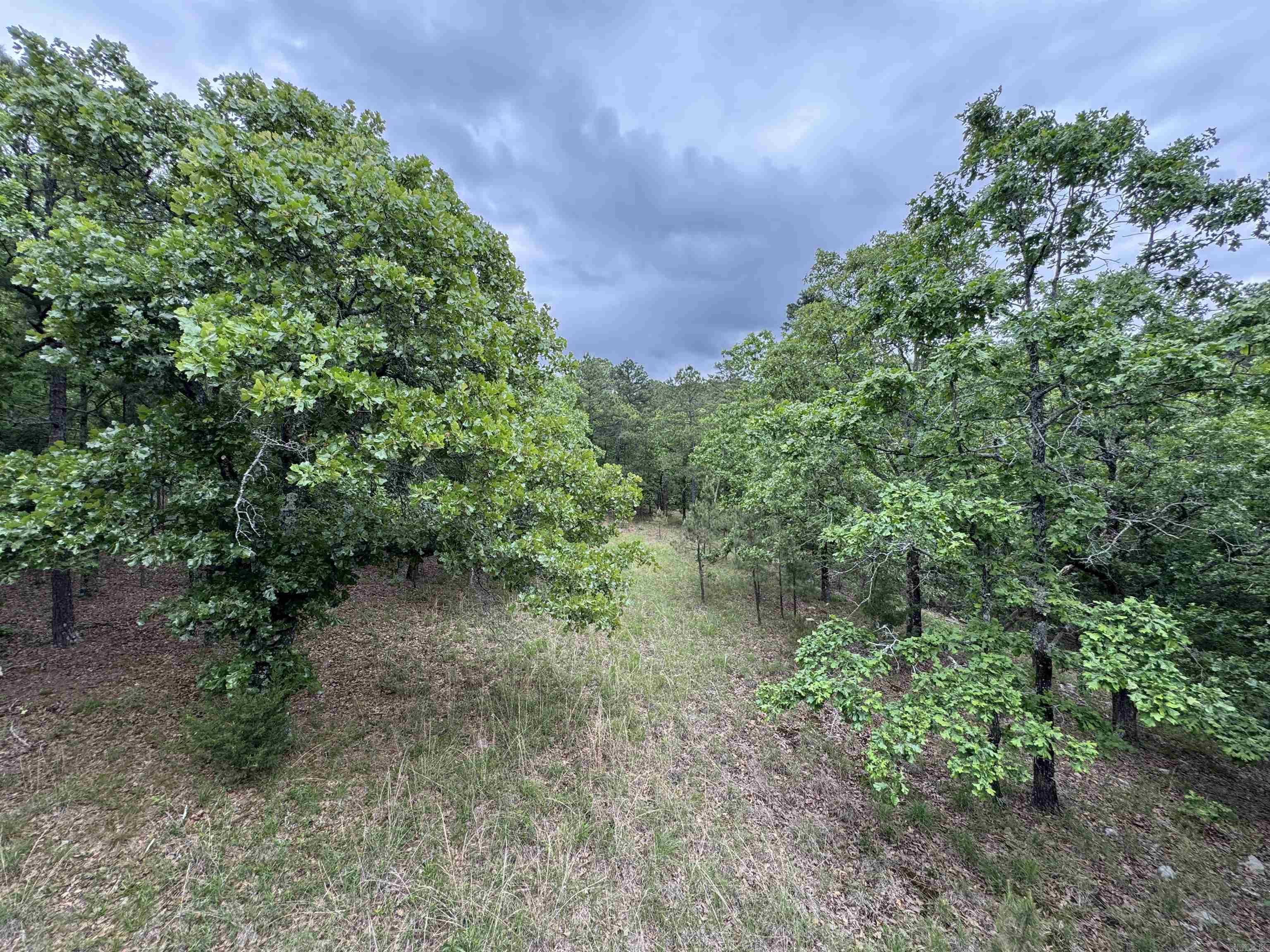 San Vest  Properties - Residential