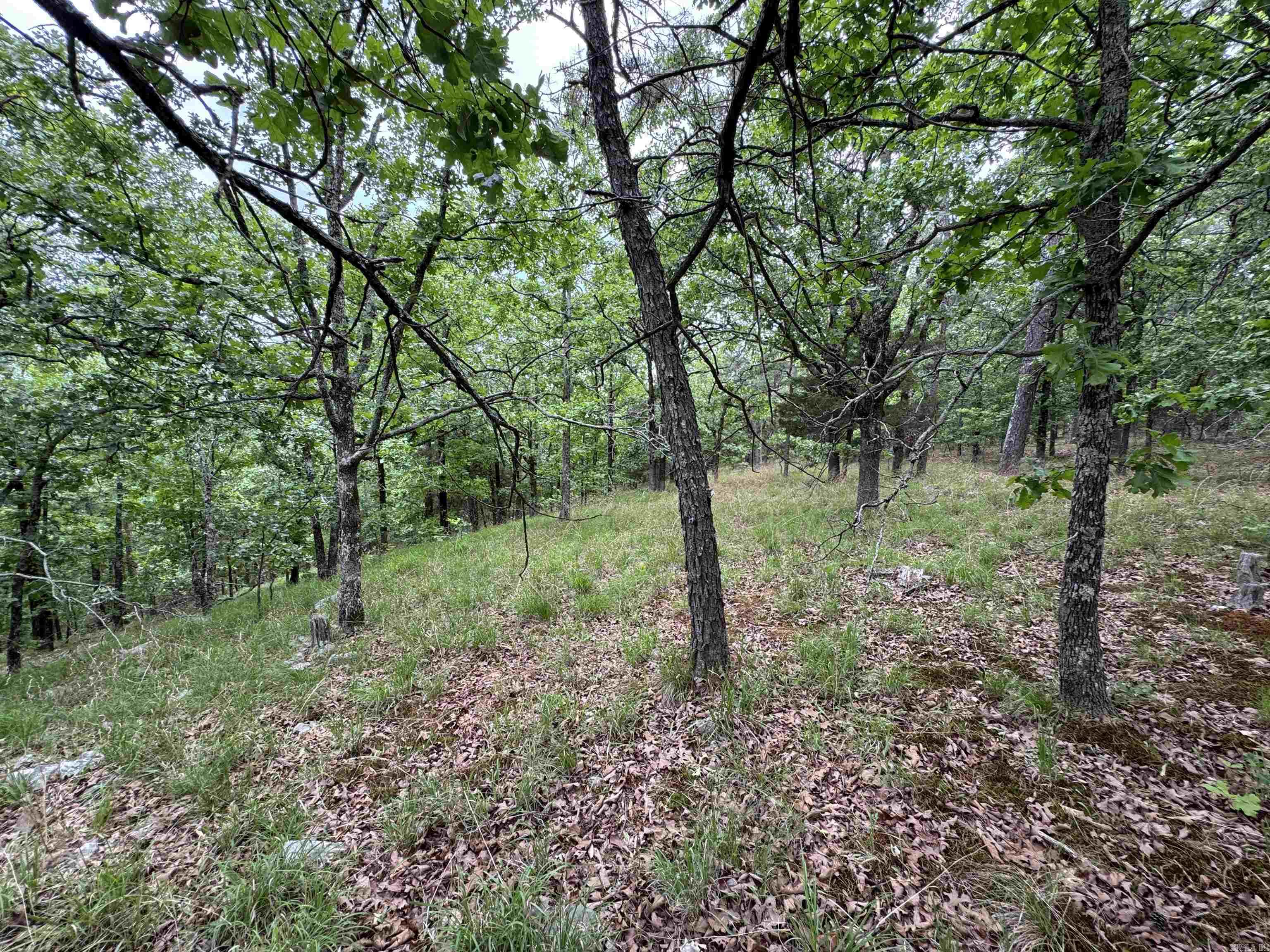 San Vest  Properties - Residential