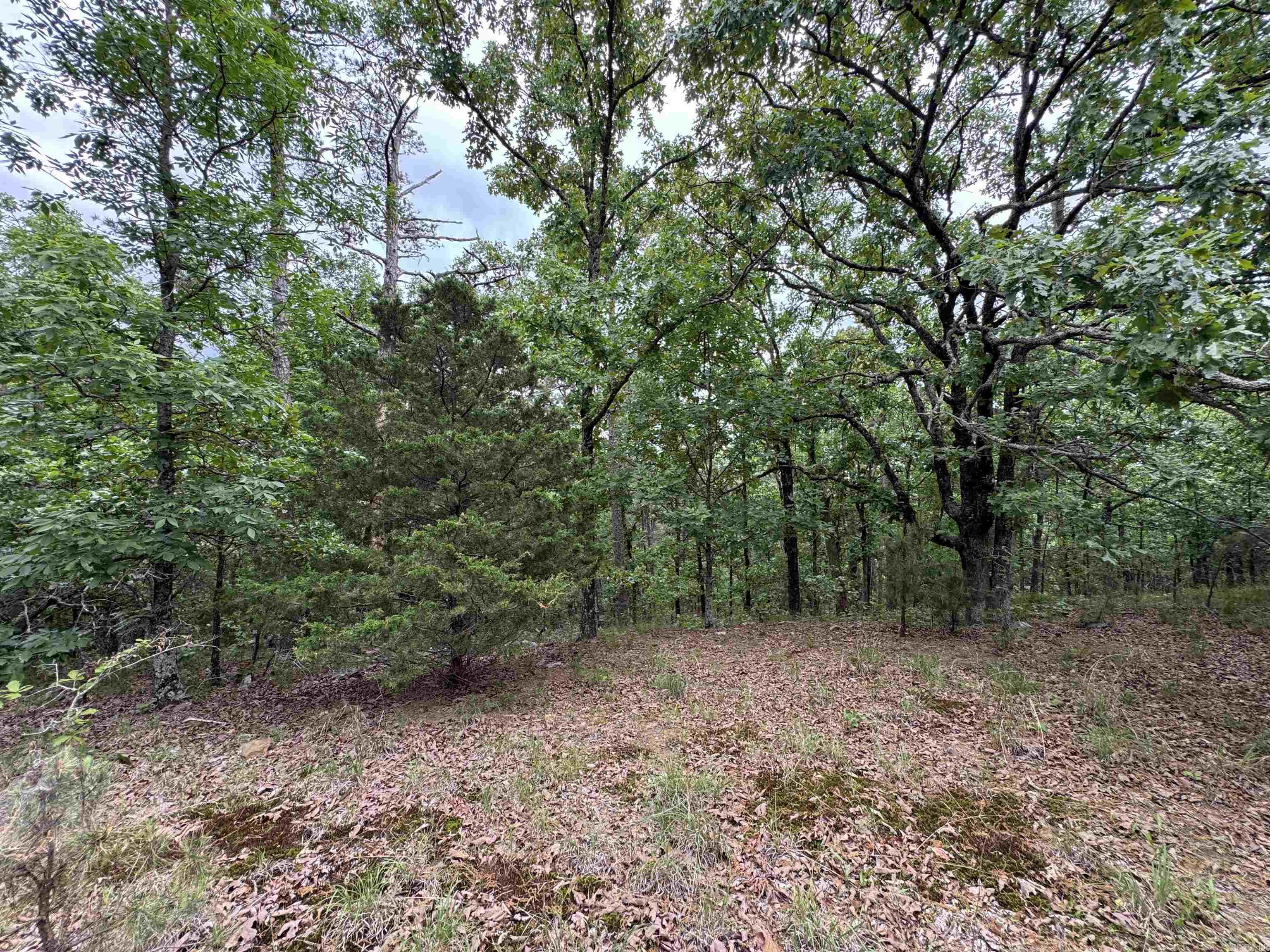 San Vest  Properties - Residential