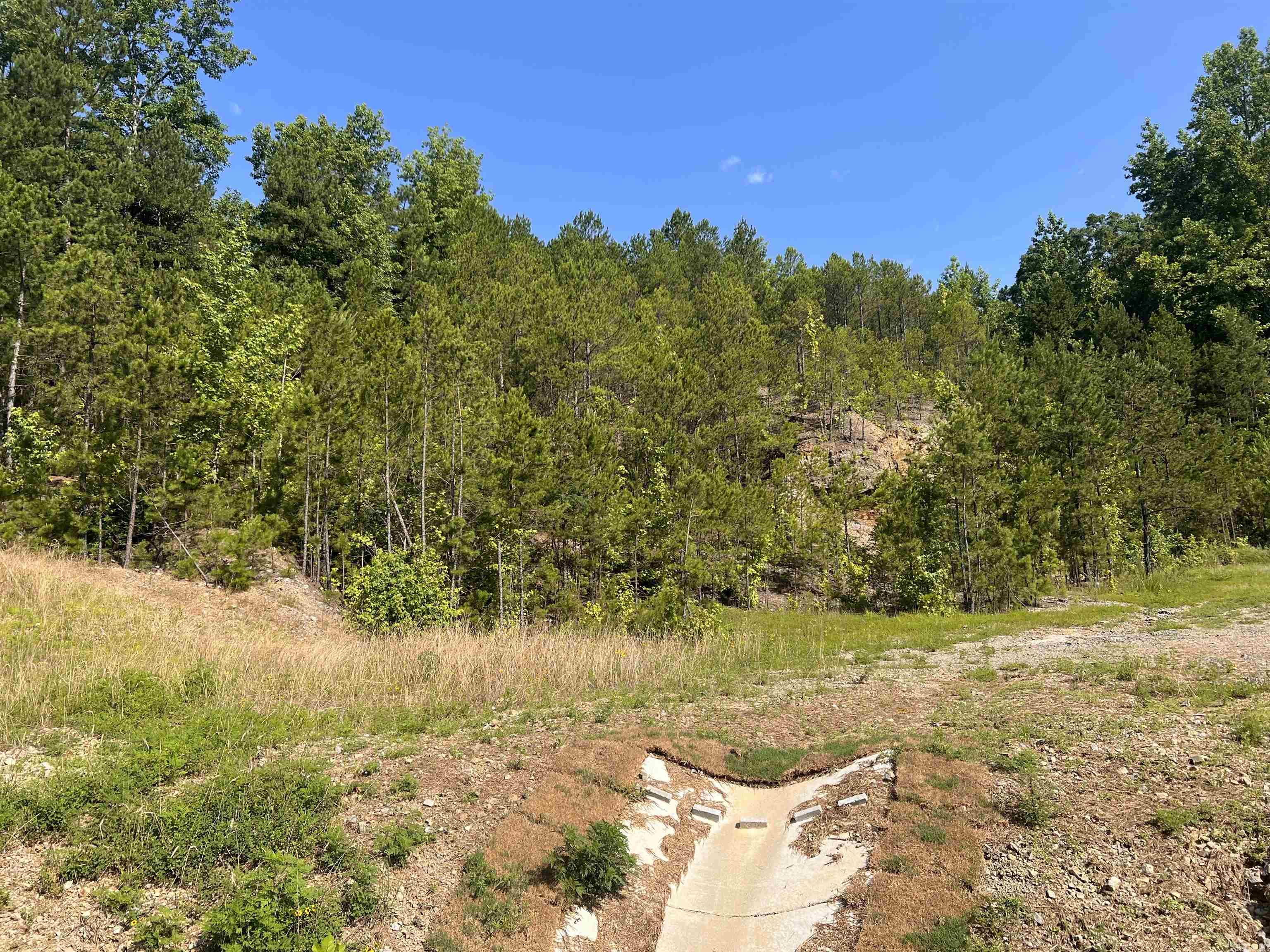 rime Location with Endless Potential! Situated on nearly ten sprawling acres, this property occupies an enviable position, perfectly positioned between the vibrant and historical downtown Hot Springs and the renowned Hot Springs Village, the largest gated community in North America. As an added convenience, it is only a stone's throw away from Fountain Lake High School and the new bypass extension on Hwy 7N. With both residential and commercial development possibilities, this versatile property offers an incredible opportunity for your visionary venture. Boasting an abundance of wildlife, it also presents an enticing prospect for hunting enthusiasts. But the advantages don't stop there! The seller shows exceptional flexibility by potentially offering owner financing options for up to 20 years, making it even more accessible for those seeking to make their dreams a reality. Don't miss out on this rare chance to secure a highly sought-after location, accompanied by remarkable features and unmatched potential!