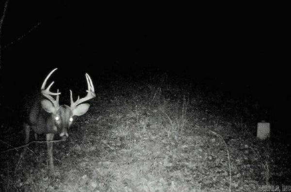 TBD JANESVILLE RD., OAK GROVE VILLAGE, LA 71263 - Image fdd9c5eaadf42549e01e871f40eb04ee/702415415