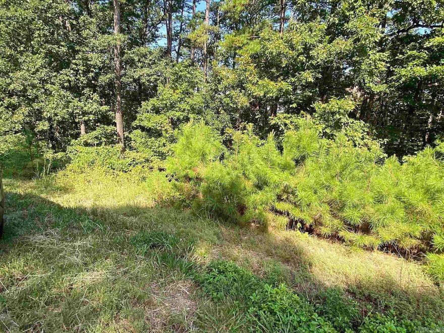 Take this empty lot in a quiet area and turn it into your personal oasis. Residing within this community you have access to; natural beautyand 11 lakes that offer a variety of activities; 9 professionally designed golf courses; 15 professionally surfaced tennis courts; 20 miles ofwalking trails; 200+ clubs and fraternal organizations; PLUS many more activities for all ages!