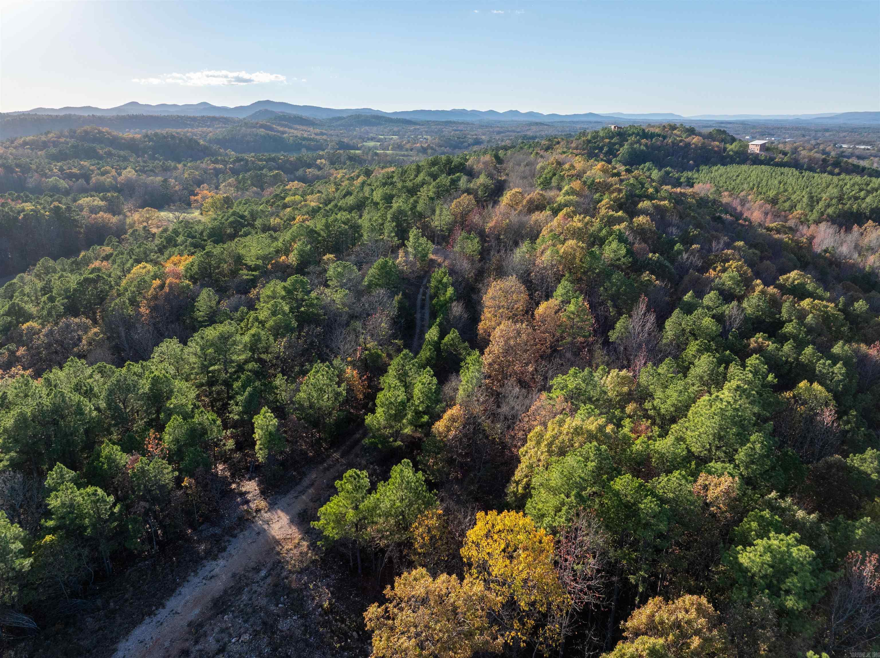 Glorious 42 acre property that offers expansive 360 views overlooking the Ouachita Mountains! Just 5 minutes to Wolf Pen Gap, this scenic spot would make an ideal location to build multiple luxury cabins. Land in Board Camp is hard to come by, so don't miss your opportunity to own in this highly sought after area. Build site has been recently cleared. Electricity on property. Recently surveyed.