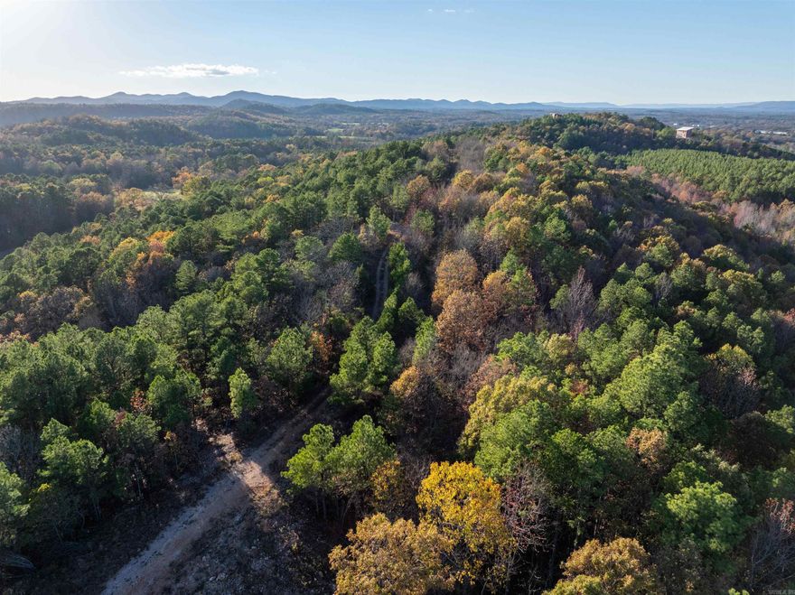 Glorious 42 acre property that offers expansive 360 views overlooking the Ouachita Mountains! Just 5 minutes to Wolf Pen Gap, this scenic spot would make an ideal location to build multiple luxury cabins. Land in Board Camp is hard to come by, so don't miss your opportunity to own in this highly sought after area. Build site has been recently cleared. Electricity on property. Recently surveyed.