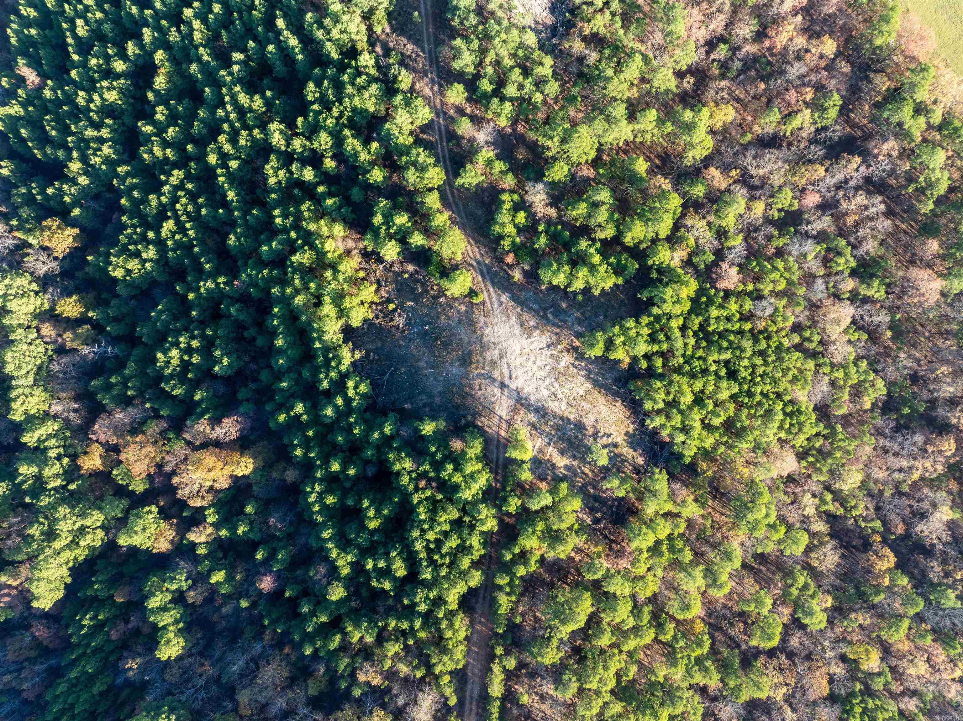 Board Camp - Land