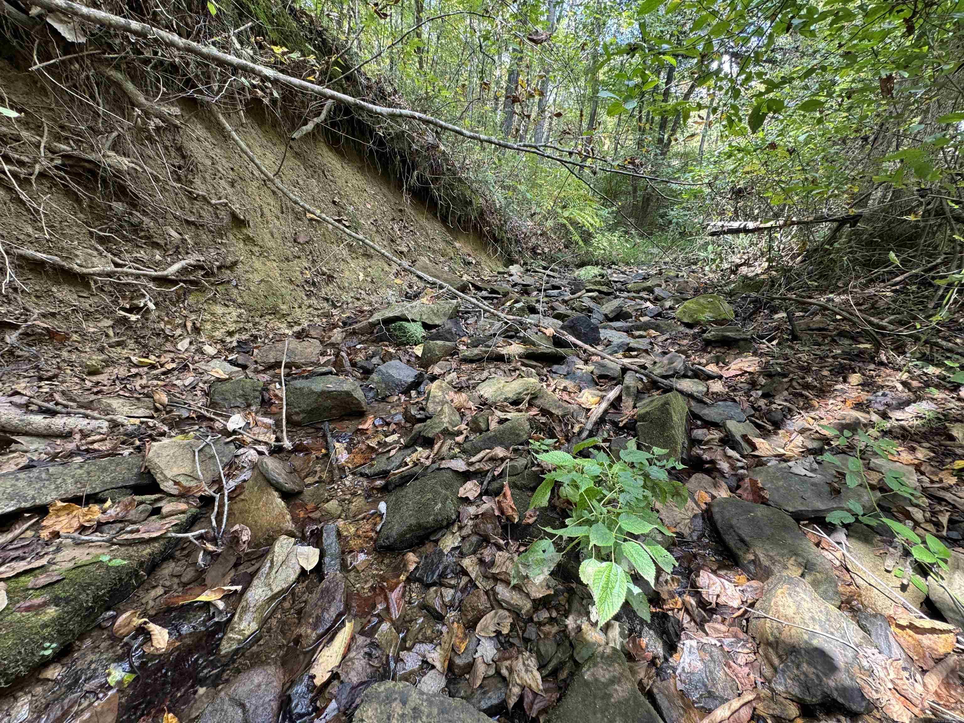 Metes & Bounds - Land